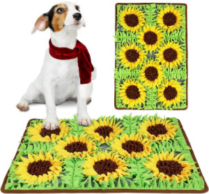 Snuffle Mat