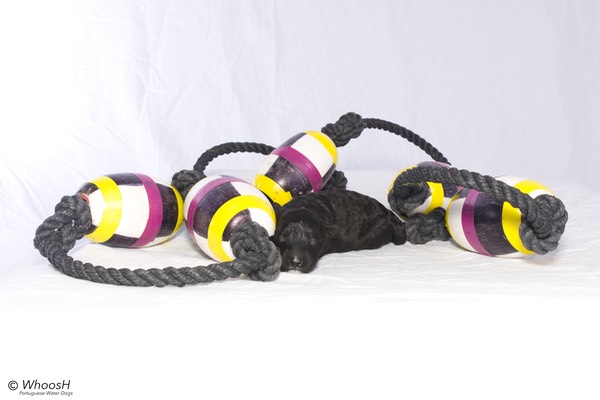 Float Line Full Size