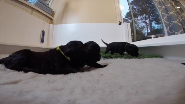 untitled-project-wi-fi-low