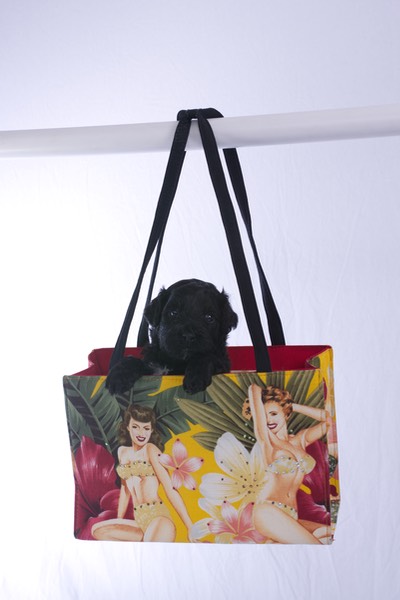 Yellow - 4 Week - Just Hanging Out